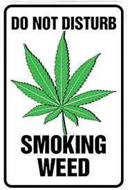 "DO NOT DISTURB SMOKING WEED" Iron Metal Sign, 7.87x11.81inch